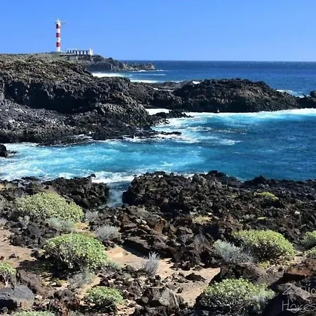 Magic Garden And Ocean View